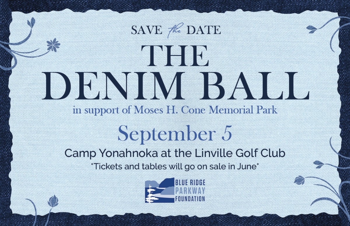 Save the date invitation for The Denim Ball