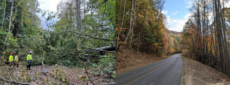 Along the Asheville corridor on the Blue Ridge Parkway, before clean-up (left) and after clean-up (right)