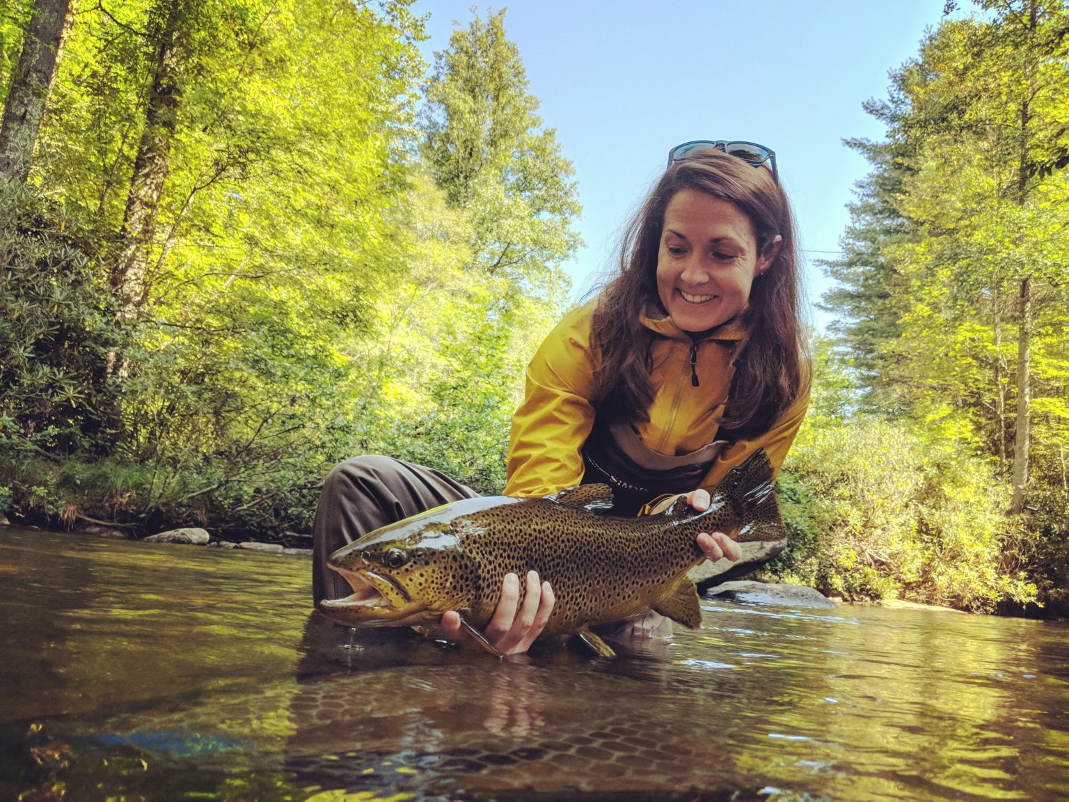 Fly Fishing along the Blue Ridge Parkway in North Carolina 