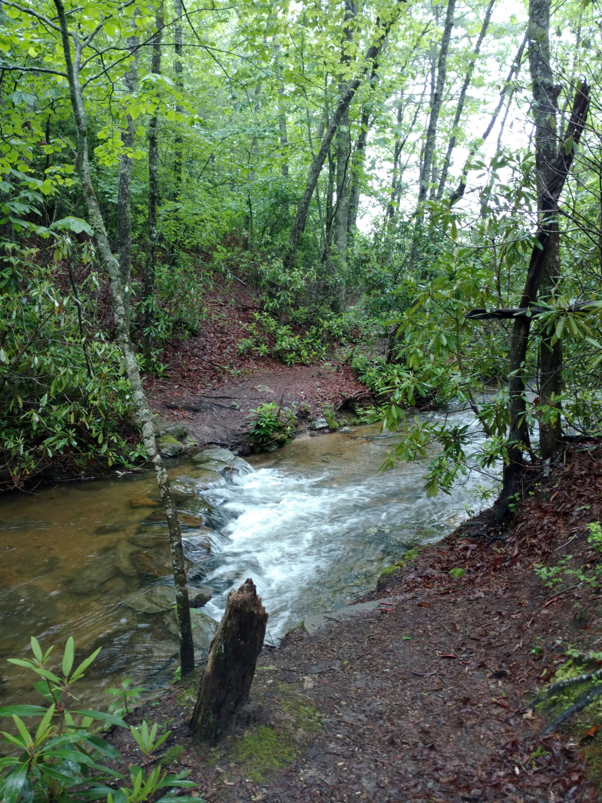 High Meadow Trail creek crossing